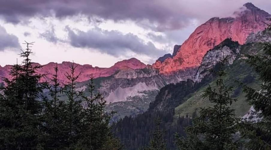 Apartamento Alpenperle *