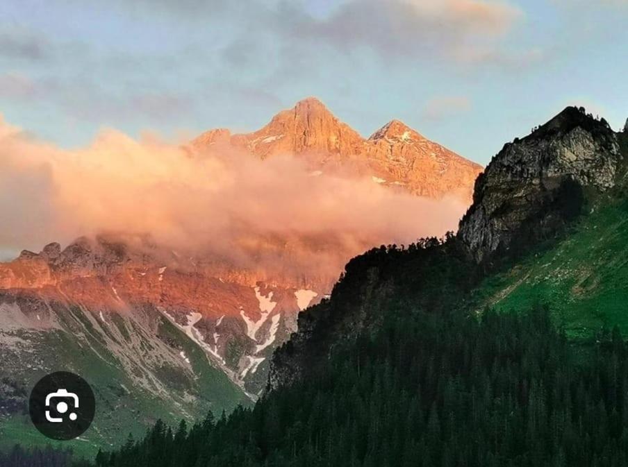 Alpenperle *