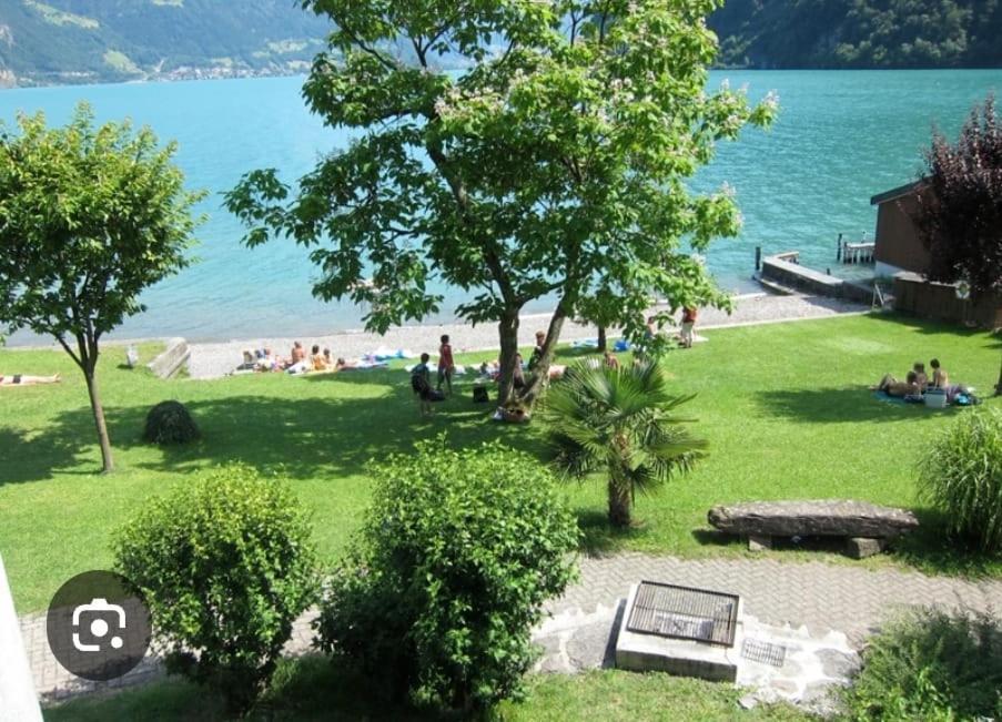 Alpenperle *